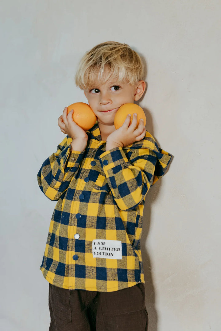 shirt l/s plaid hooded - blue-19