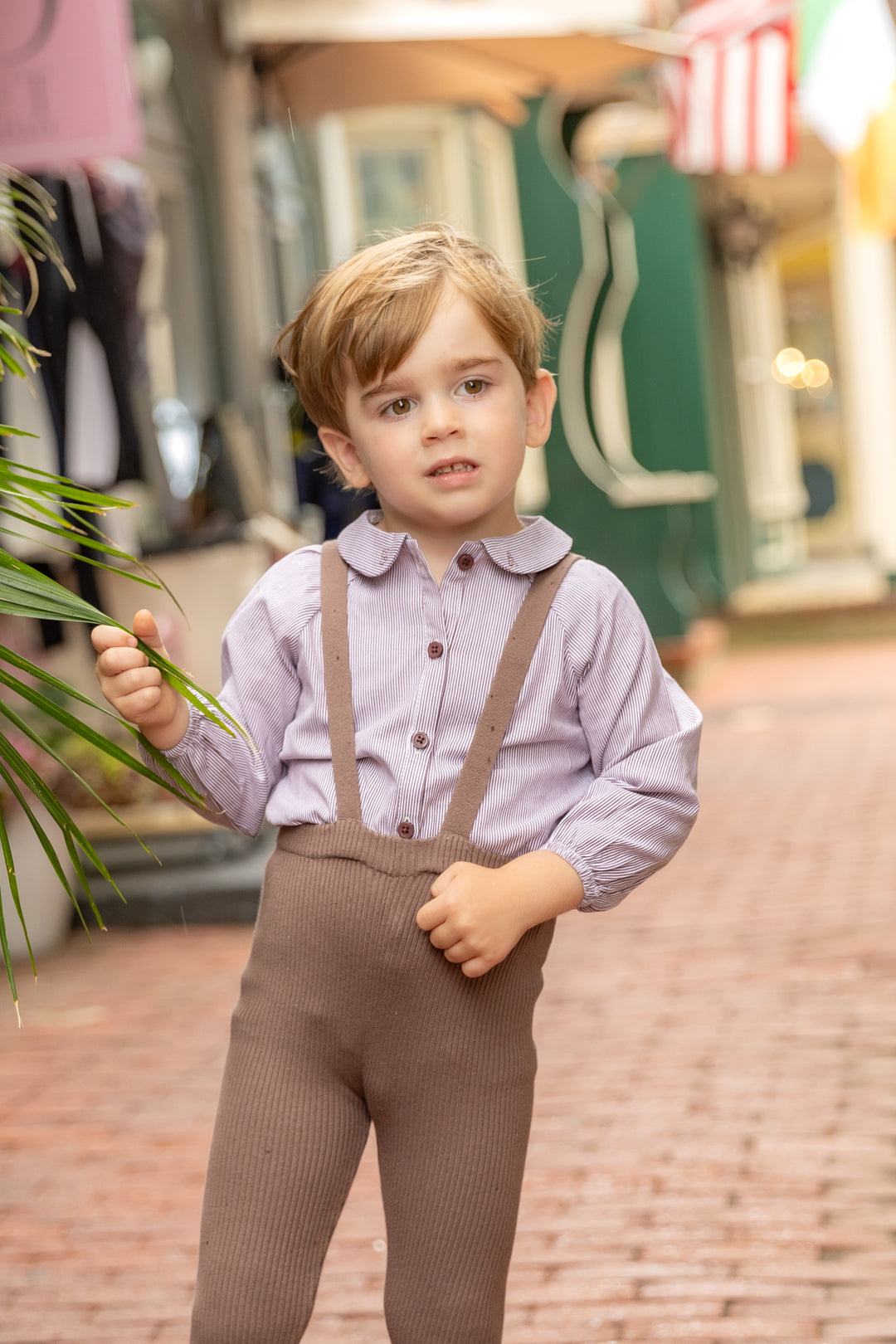 pants knit suspender - brown