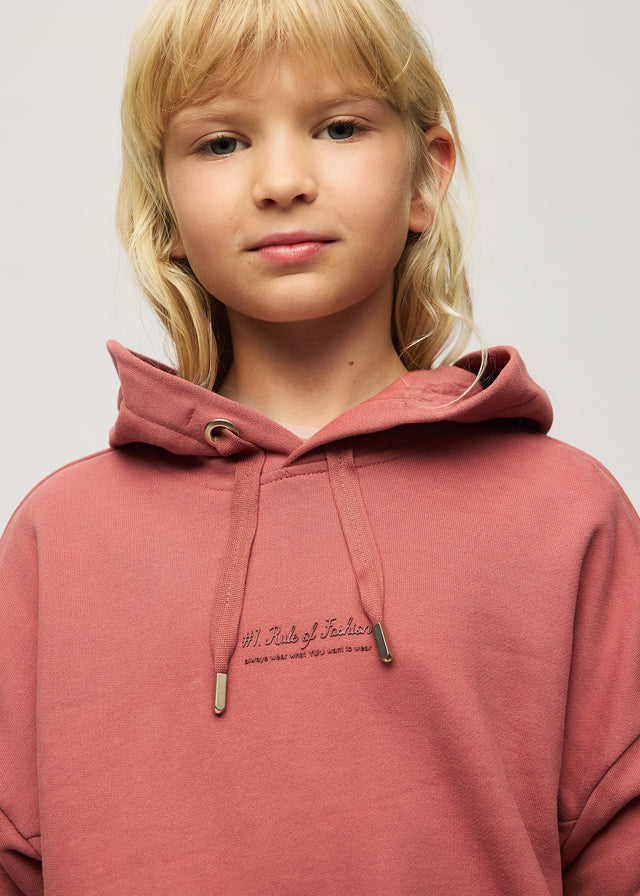 top l/s rule of fashion hooded sweatshirt - terracotta-041