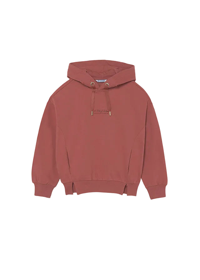 top l/s rule of fashion hooded sweatshirt - terracotta-041