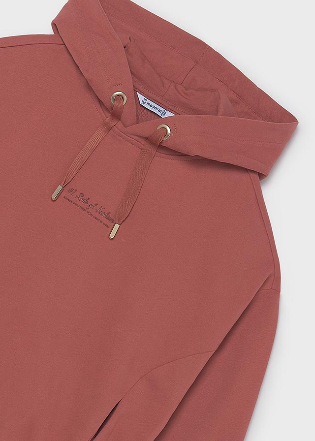 top l/s rule of fashion hooded sweatshirt - terracotta-041