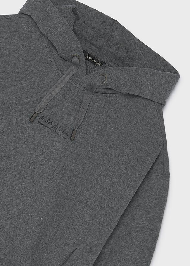 top l/s rule of fashion hooded sweatshirt - led grey-042