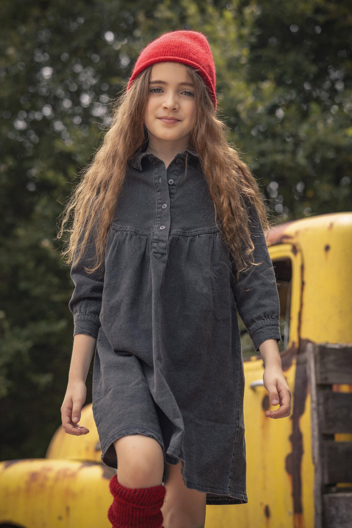 dress denim shirt - smoke denim