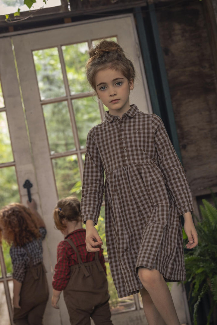 shirt l/s checkered dress - chestnut/slate