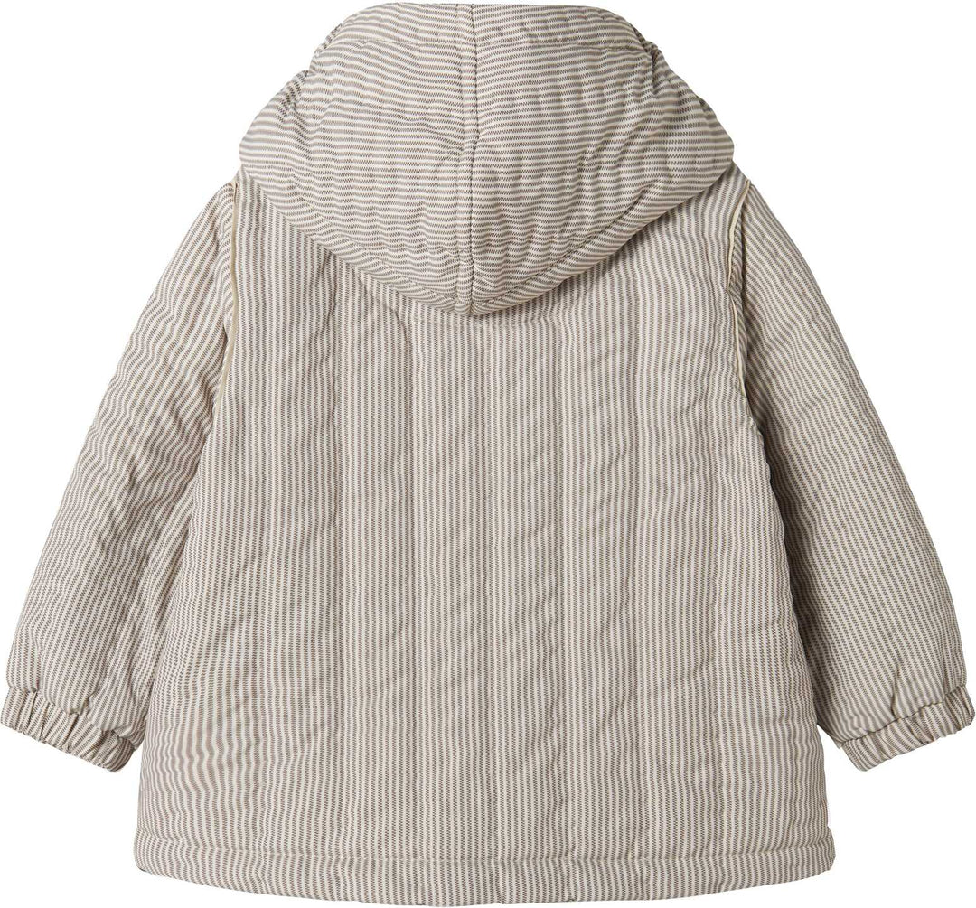 jacket striped puffer with hood - dark brown stripe