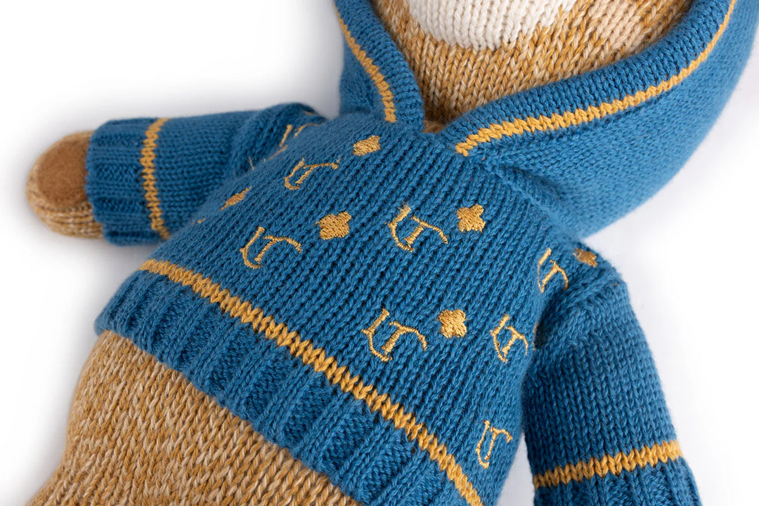 teddy lil teddy storybook with hoodie - natural/blue