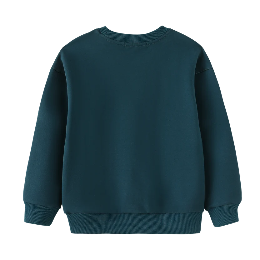 top l/s bird print sweatshirt - teal