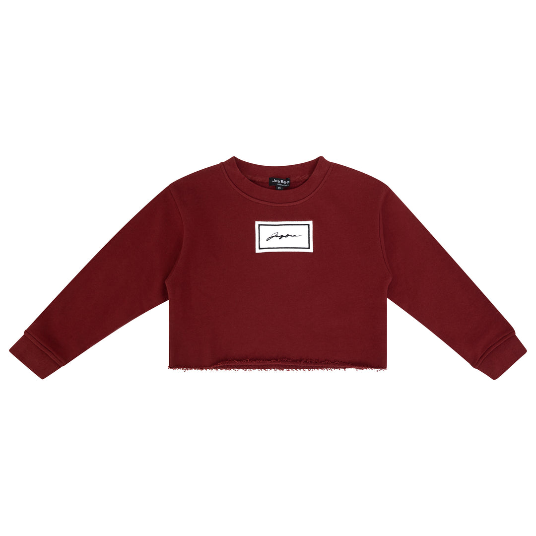top l/s sherpa patch cropped sweatshirt - rust