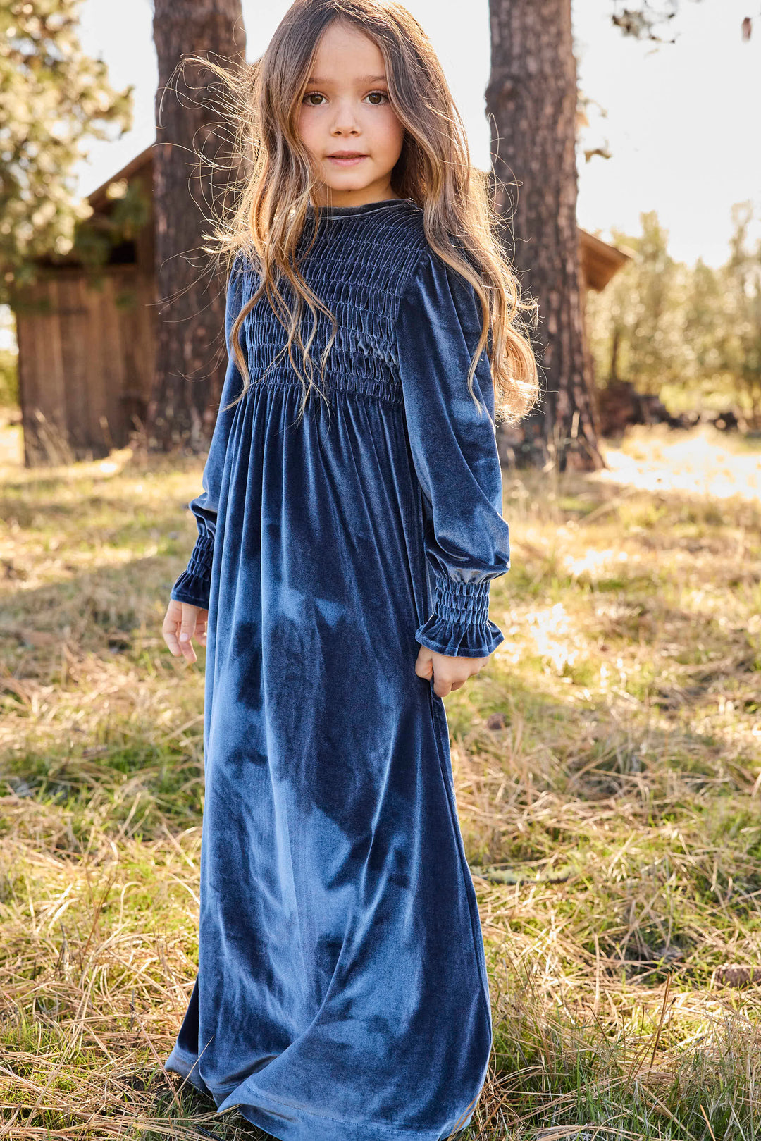 maxi dress emma smocked velvet - cornflower