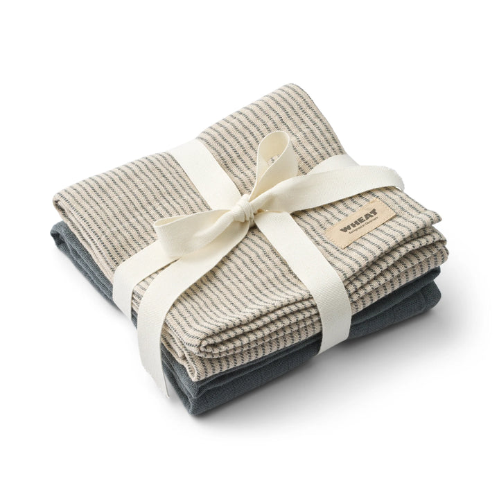 swaddle muslin solid and print 2 pack - stormy weather