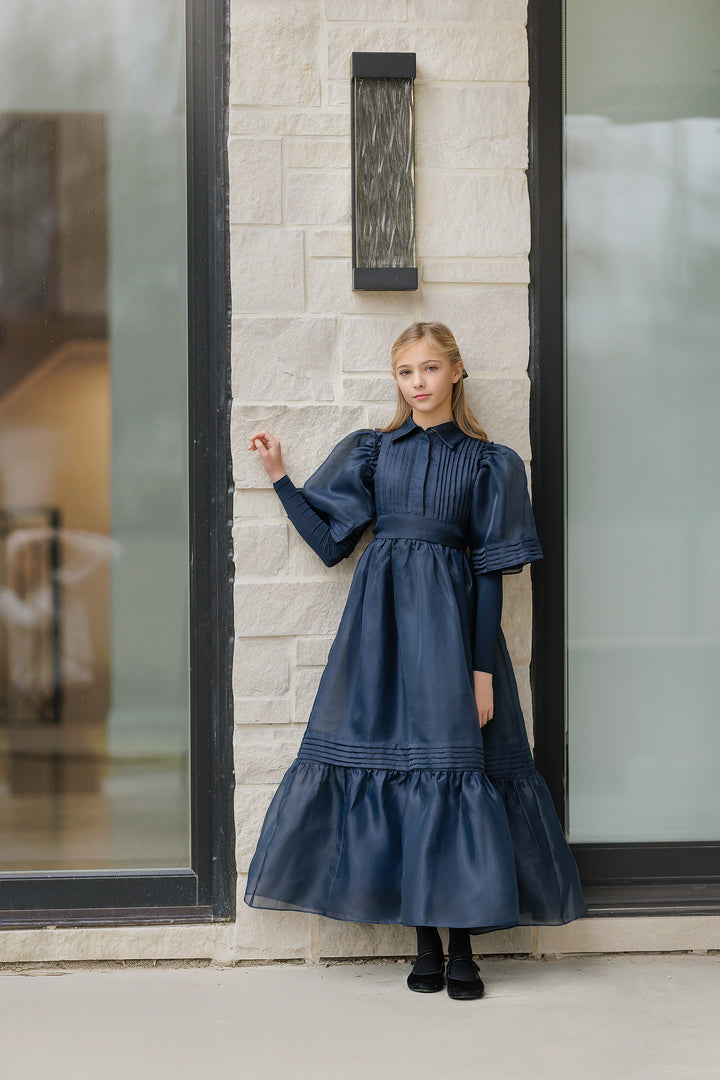 dress chiffon pintuck with collar - blue