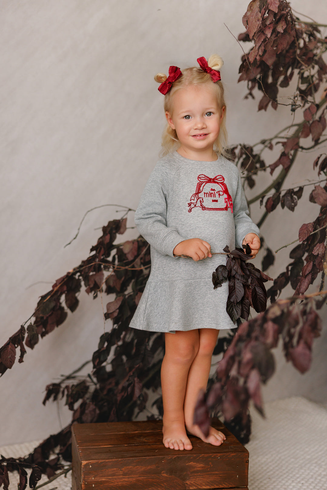 dress velvet logo sweatshirt - grey/red
