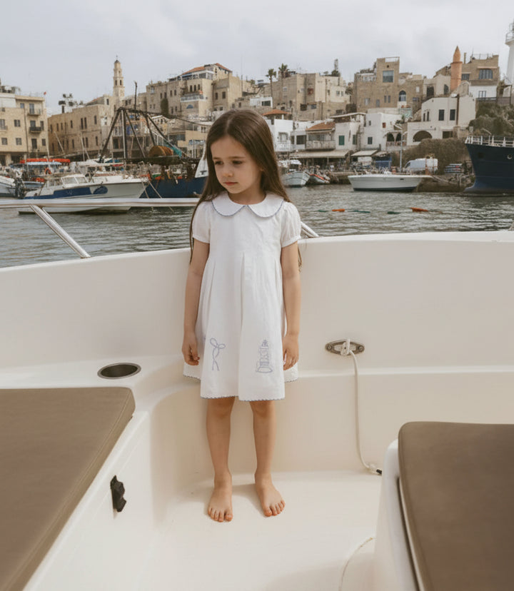 dress s/s embroidered wide pleated - white