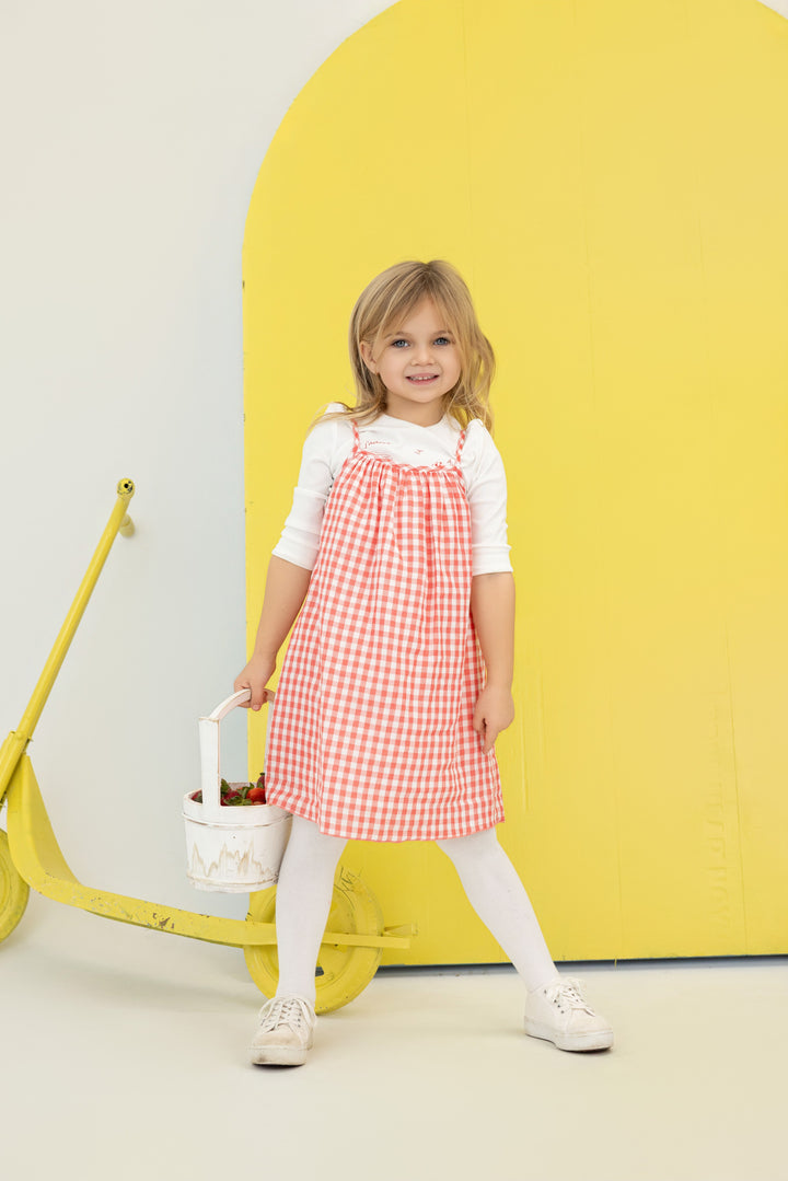 dress gingham jumper - sherbet multi