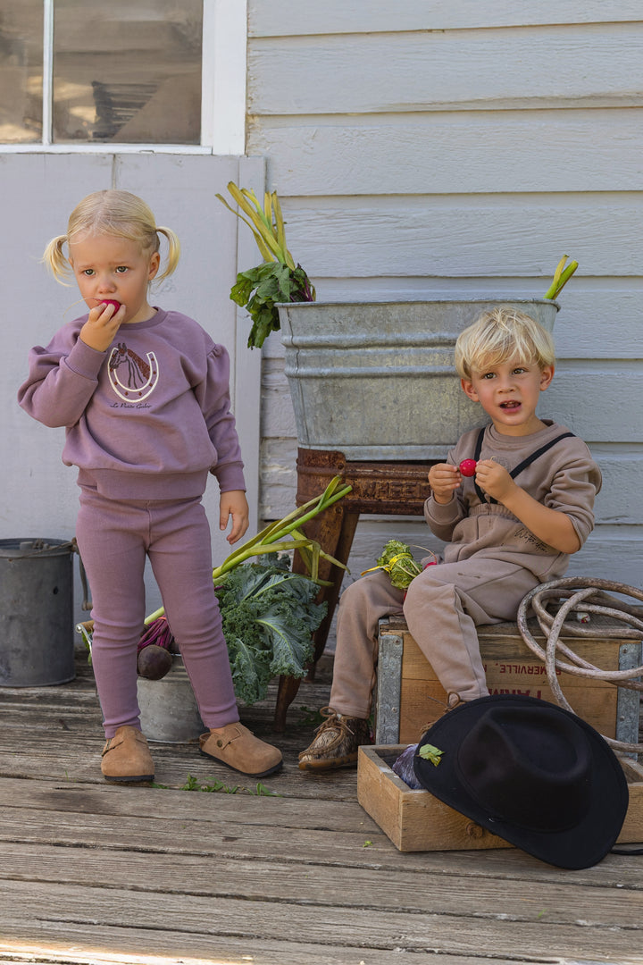 set outfit collared gallop sweatshirt and leggings - vintage lilac