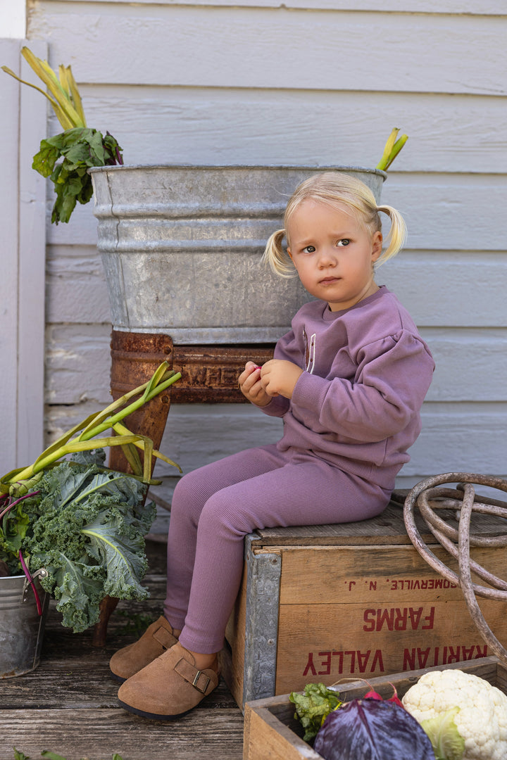 set outfit collared gallop sweatshirt and leggings - vintage lilac