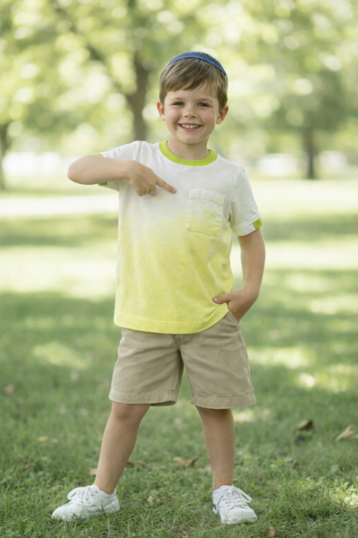 tee s/s ombre with color trim - lemon