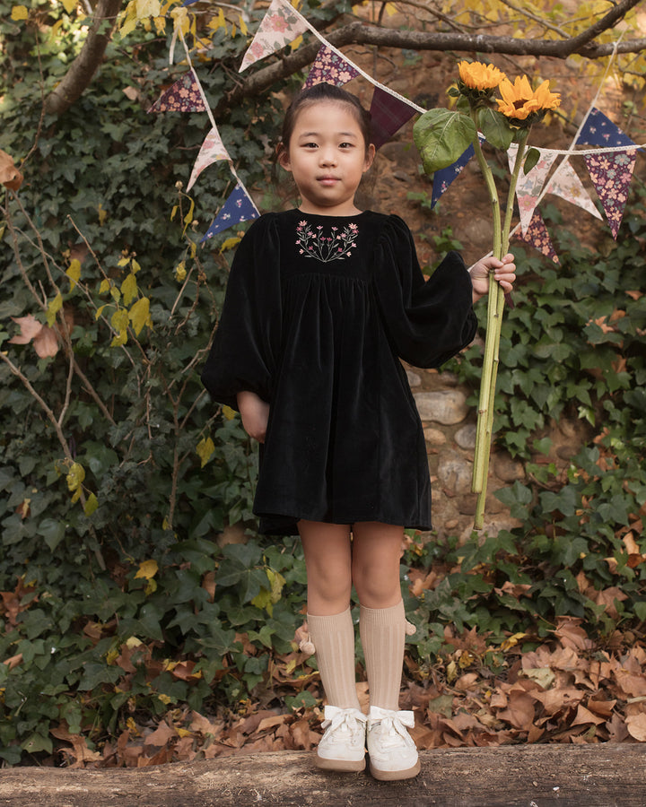 dress velour embroidered puff sleeve - black