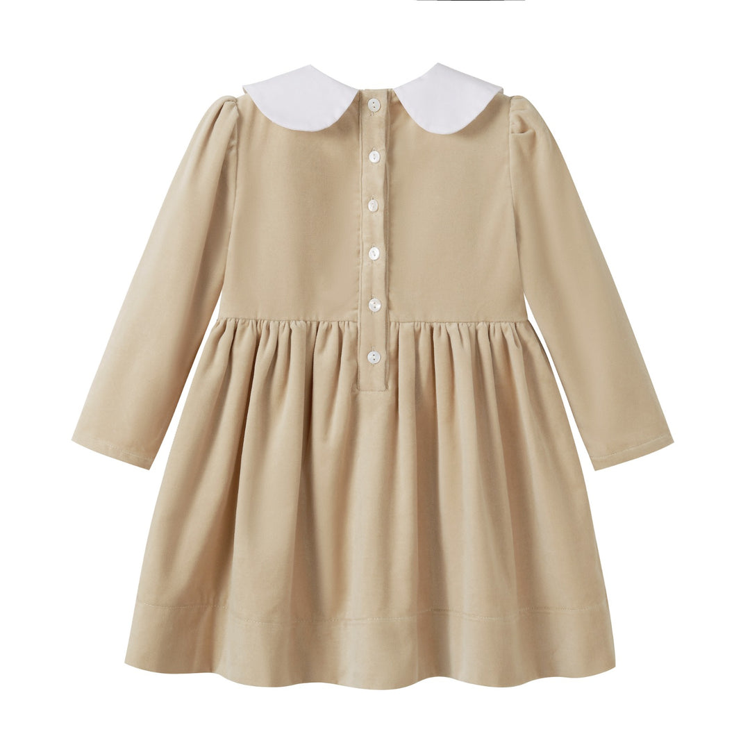 dress crushed velour with velvet ribbon collar - tan