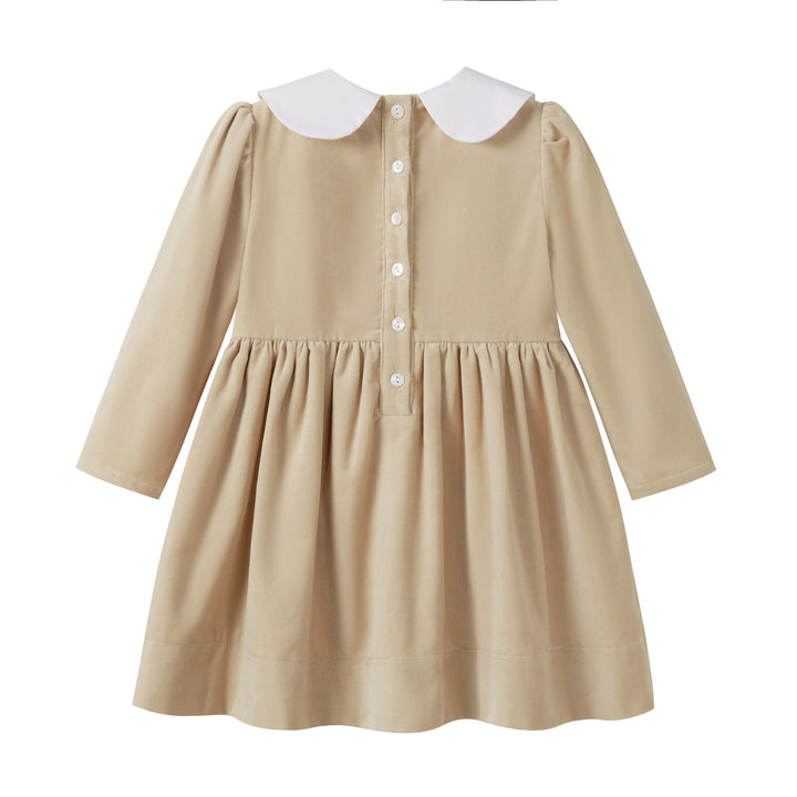dress crushed velour with velvet ribbon collar - tan