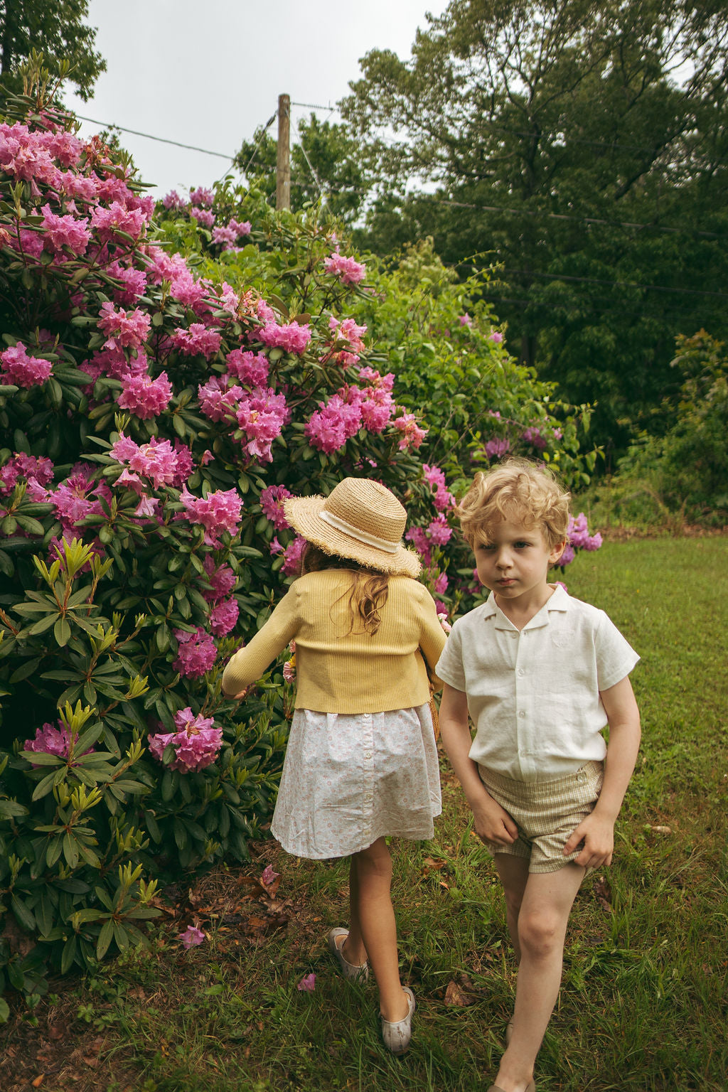shorts sunny blossoms - yellow mini plaid