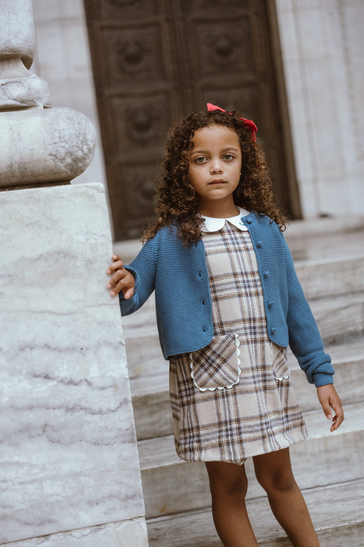 dress plaid a line pocket with embroidered collar - blue plaid