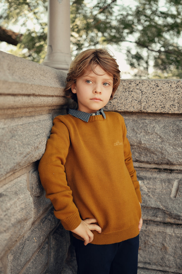top l/s embroidered logo sweater - mustard