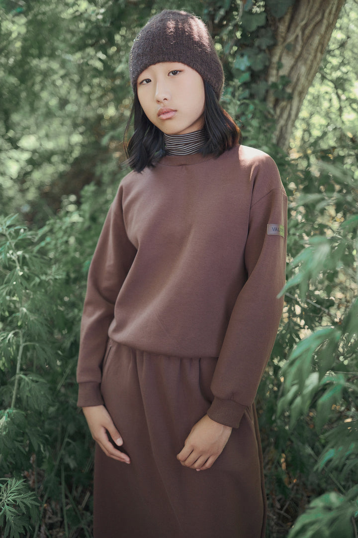 top l/s striped turtleneck logo sweatshirt - brown