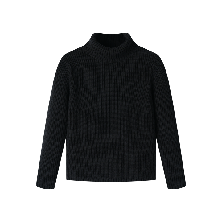 turtleneck sweater - black