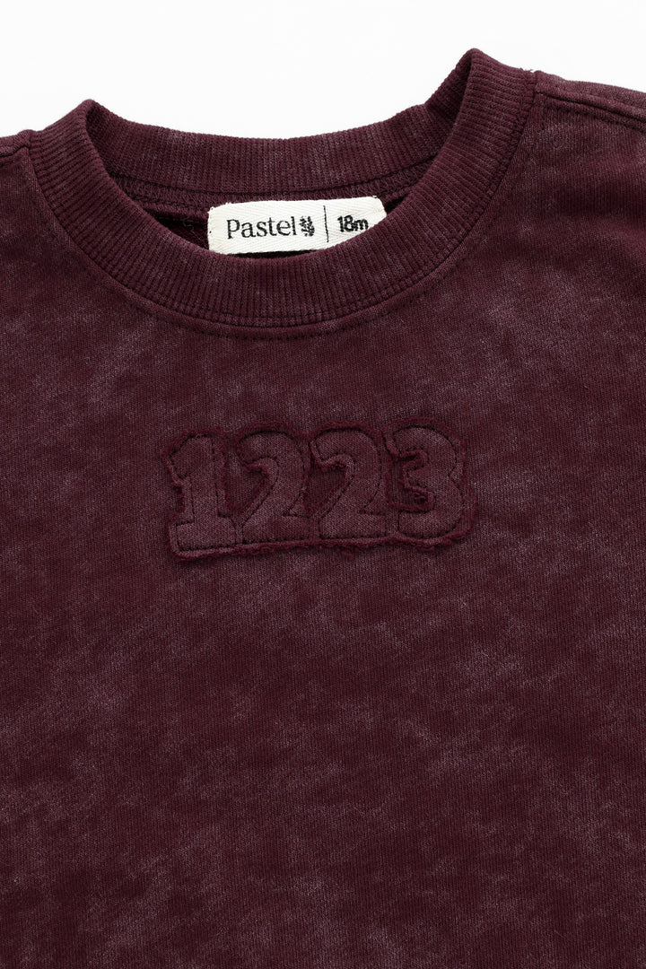 1223 tie dye sweat - burgundy