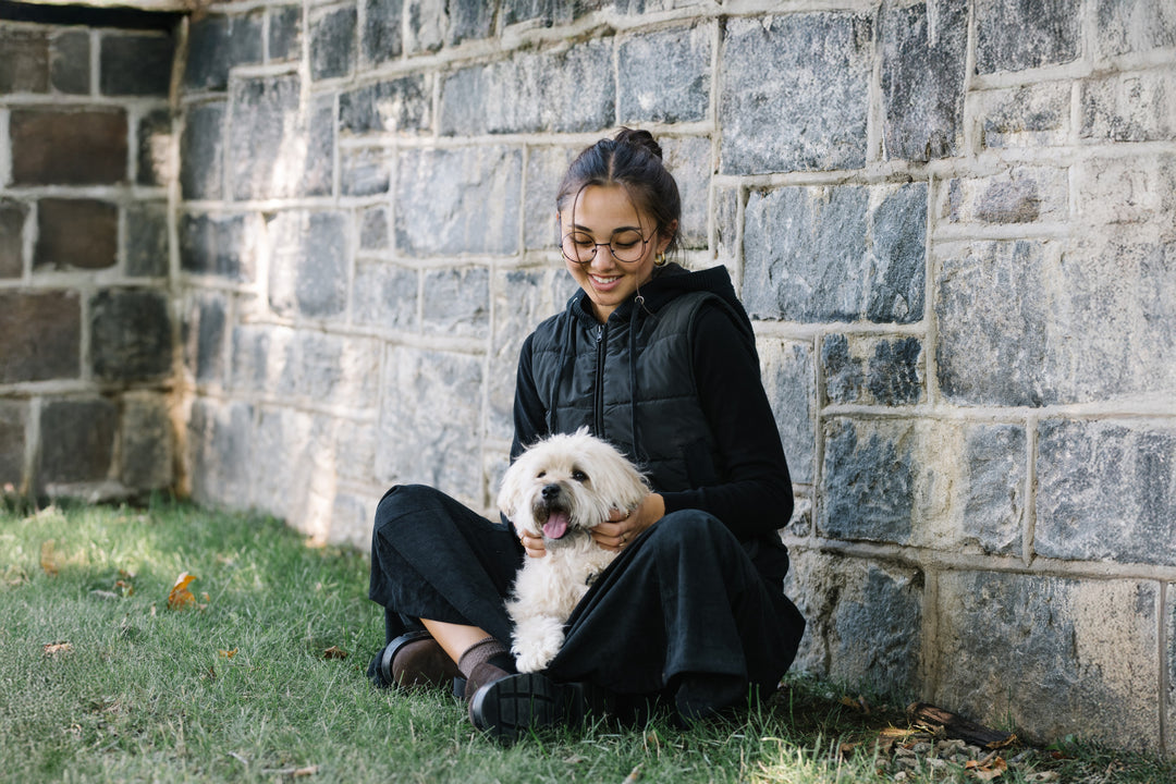 vest wren puffer zip up with hood - black