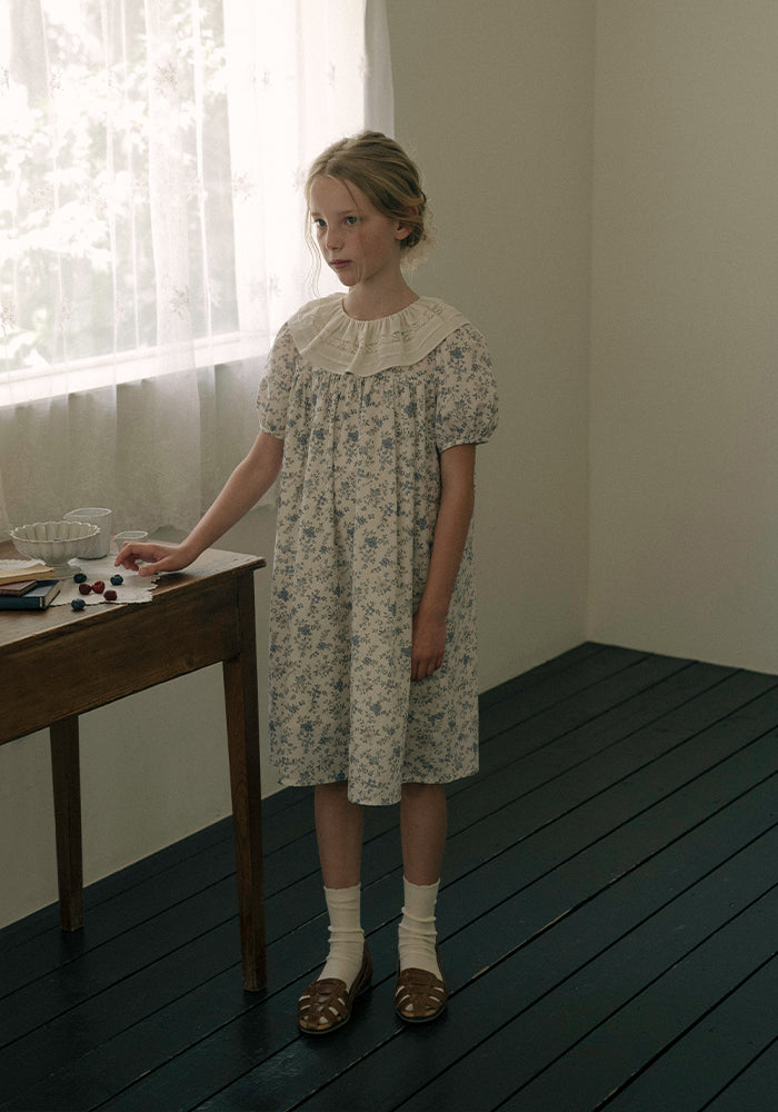 dress floral printed with lace detail collar - blue