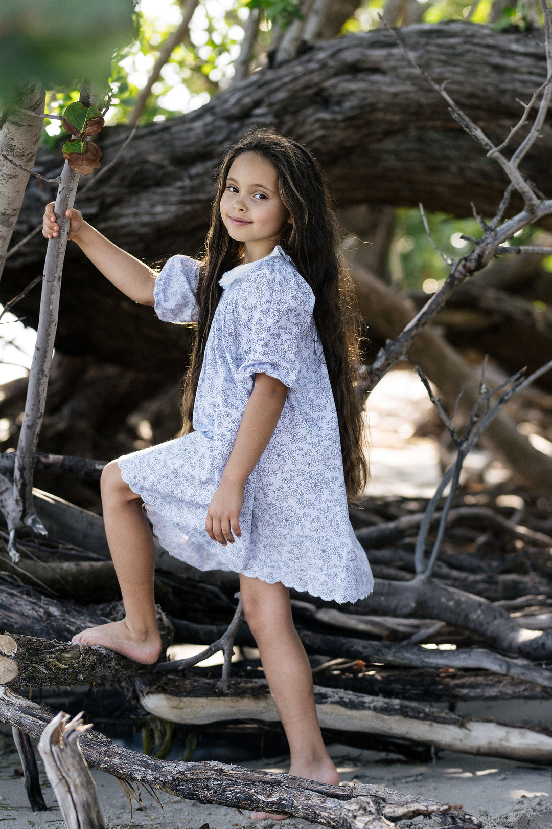 dress 3/4 sleeve mountain meadow with collar - clear blue floret