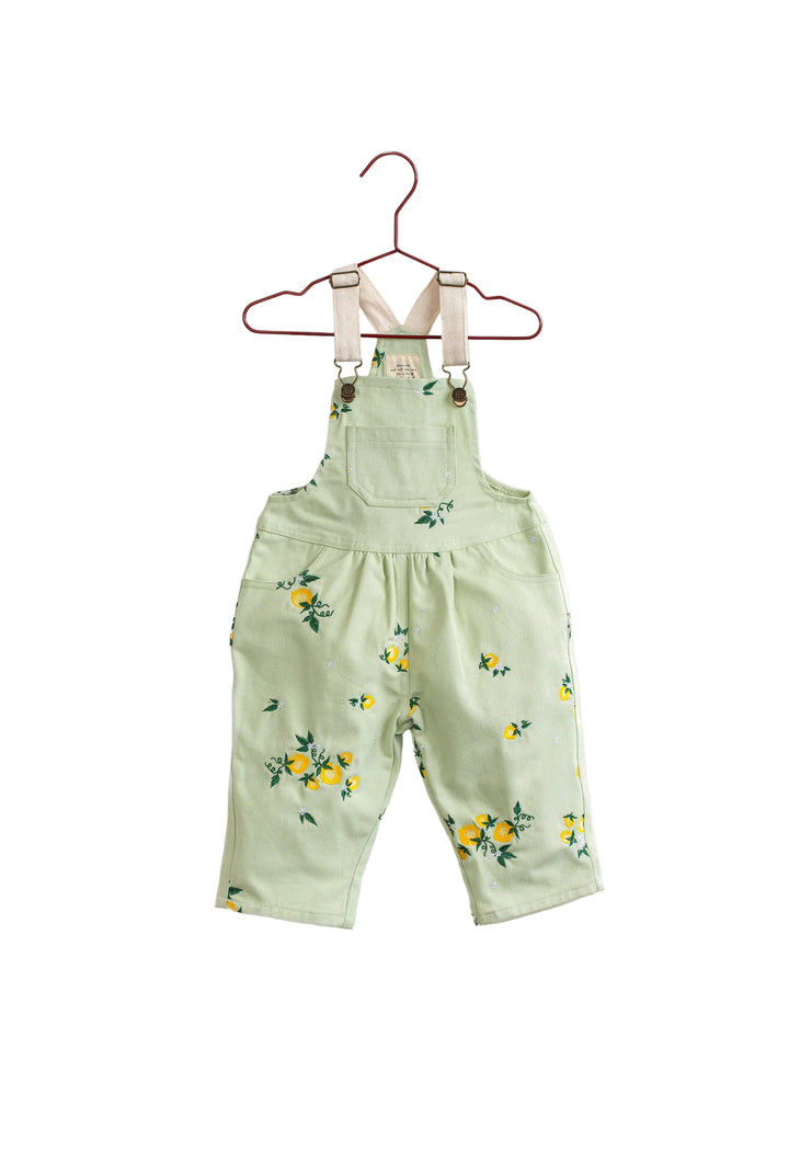 one piece canvas lemon embroidered long overalls - mint