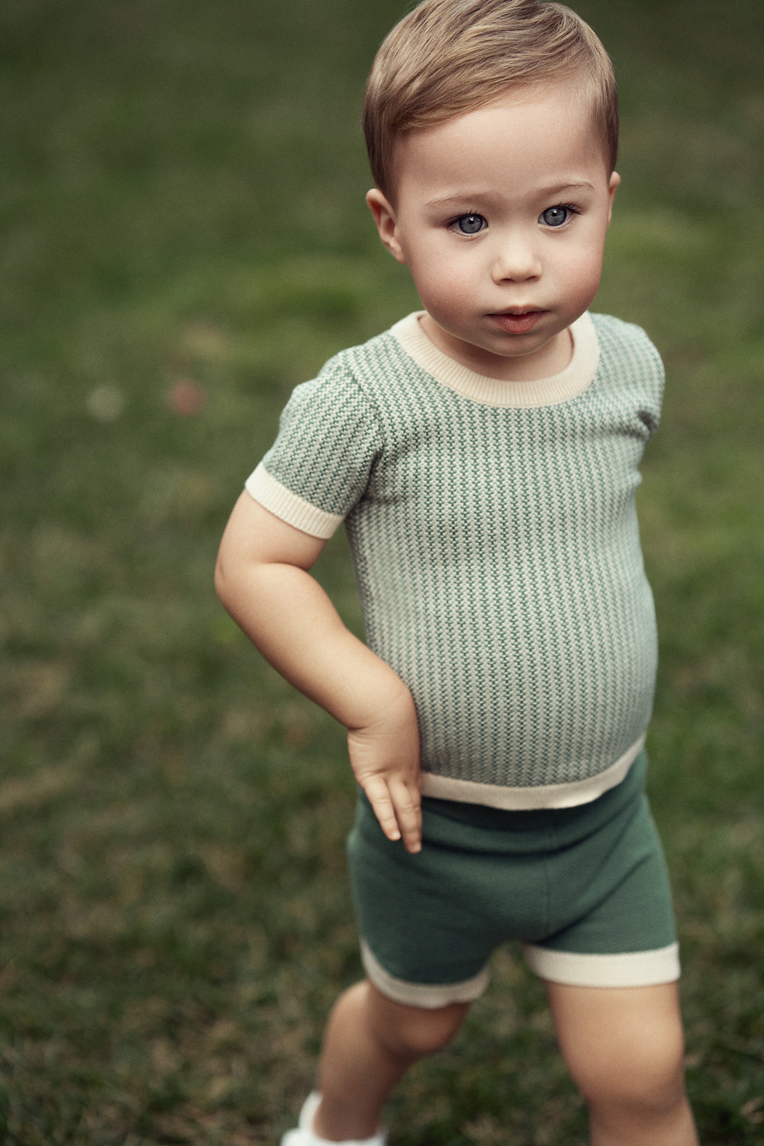 set outfit s/s textured knit sweater and shorts - dark sage