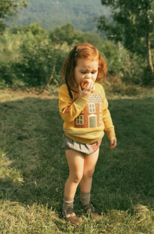top l/s house graphic sweater - mustard