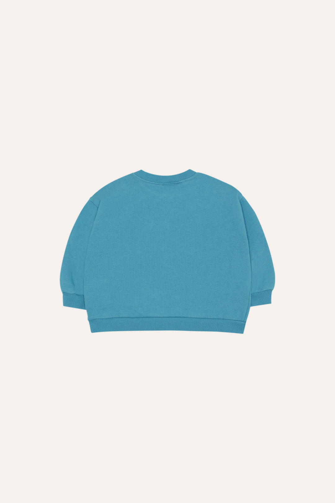 top l/s ladybug sweatshirt - blue