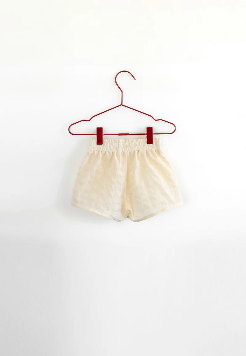 shorts seersucker - gingham