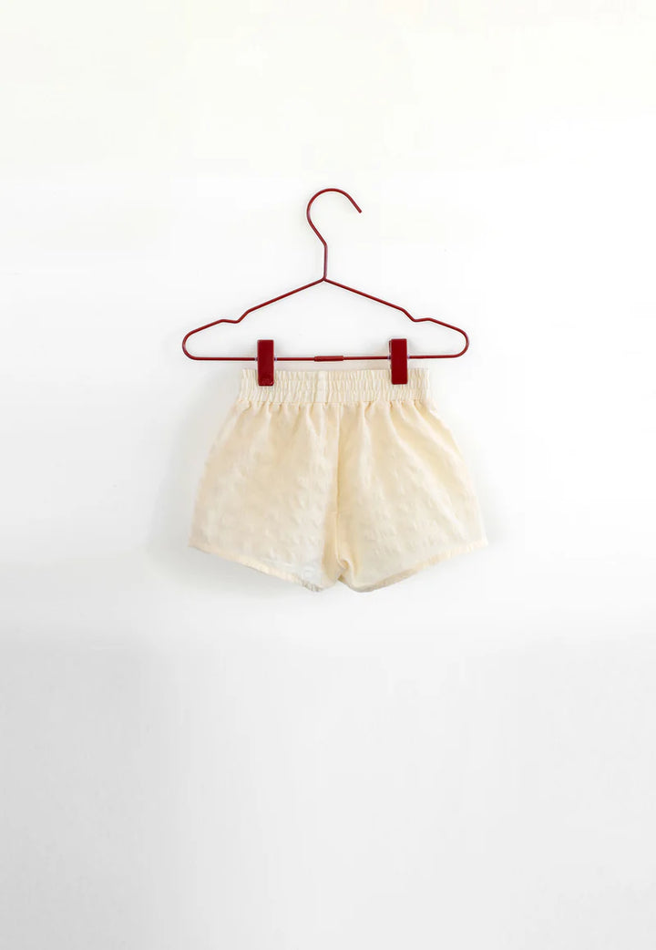 shorts seersucker - gingham