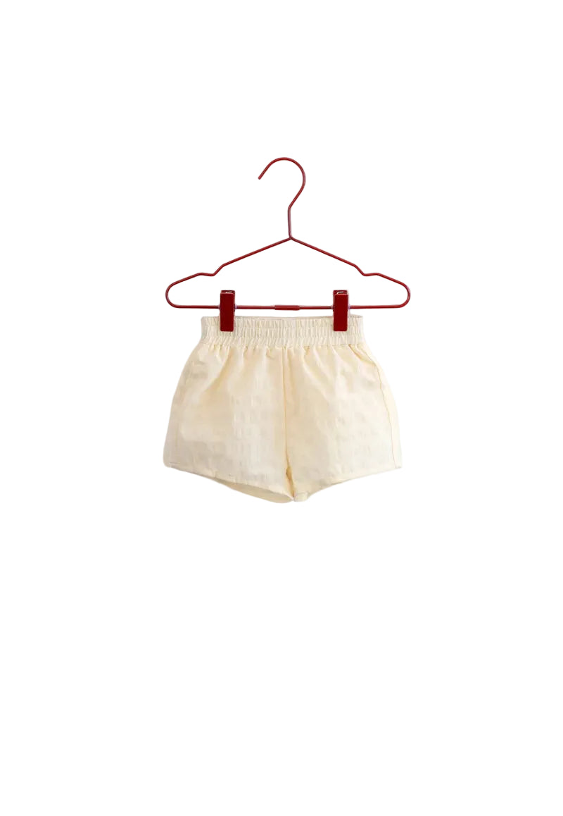 shorts seersucker - gingham